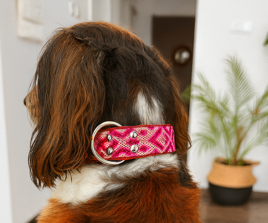 Kožený obojek Floruca M