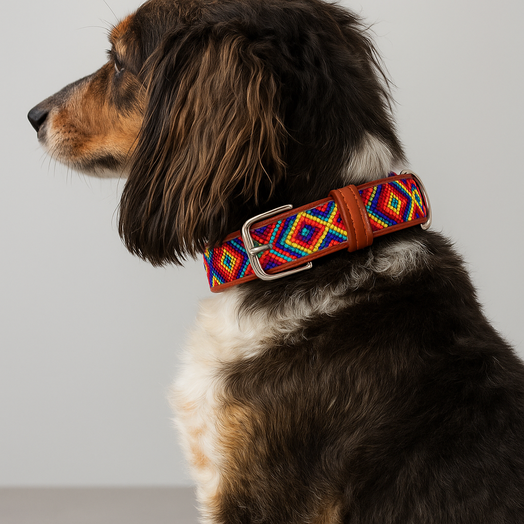 Leather collar Teza M