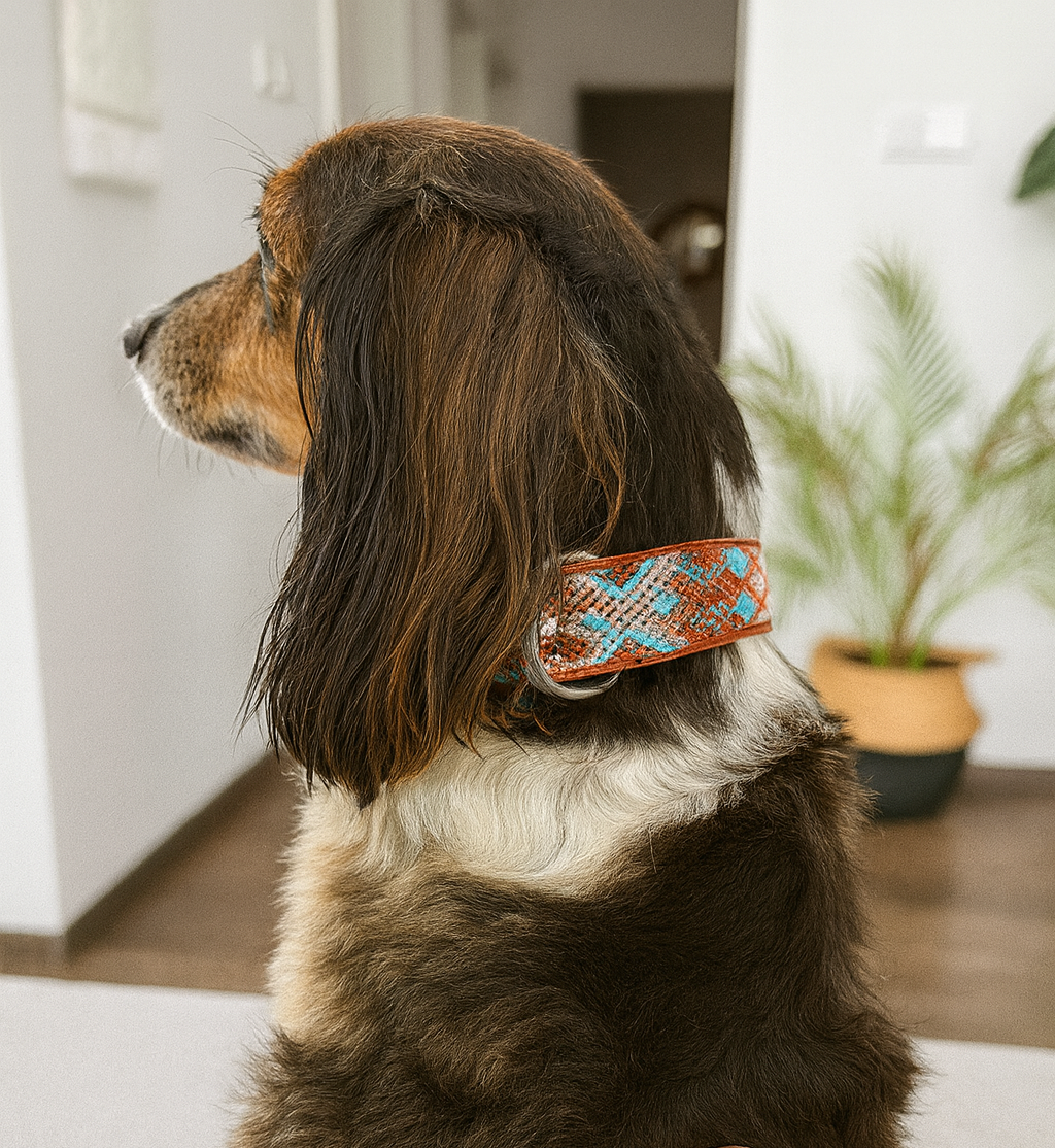 Leather collar Tulum M