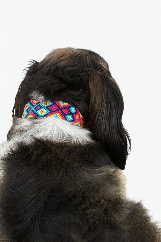 Kožený obojek Cactus Bloom S