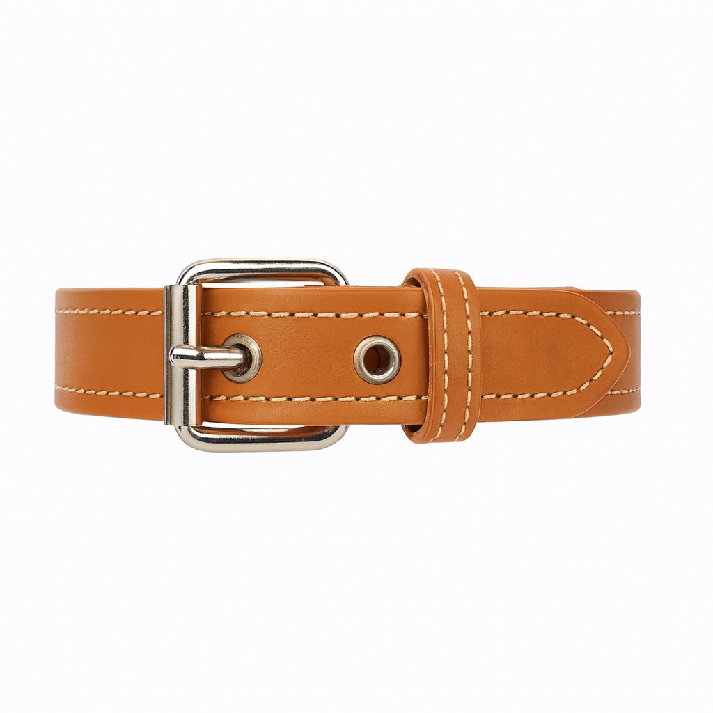 Kožený obojek CDMX style