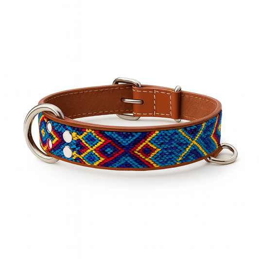 Leather collar Azcaro S