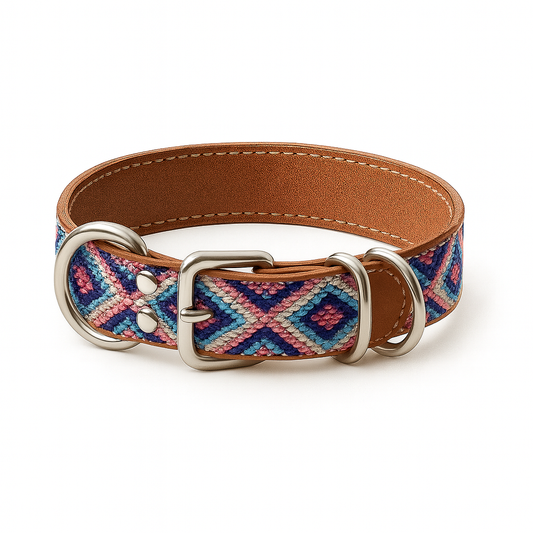 Leather collar Cazolte S