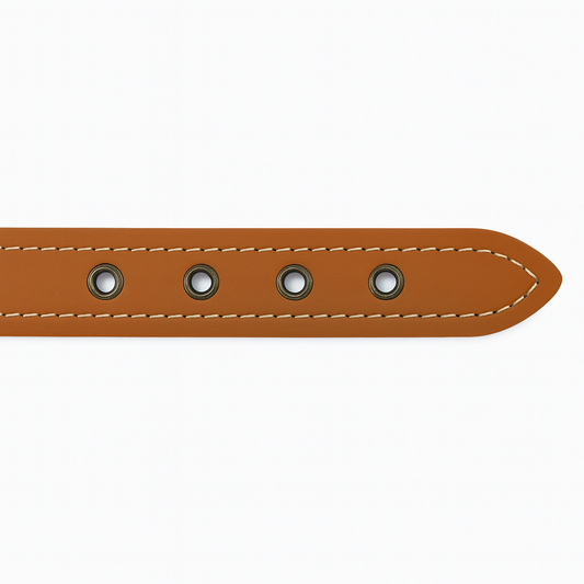 Leather collar Bellorca S