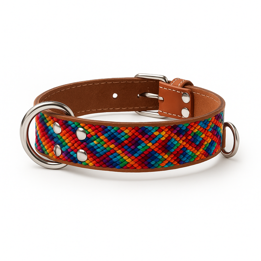 Leather collar Zorrico S