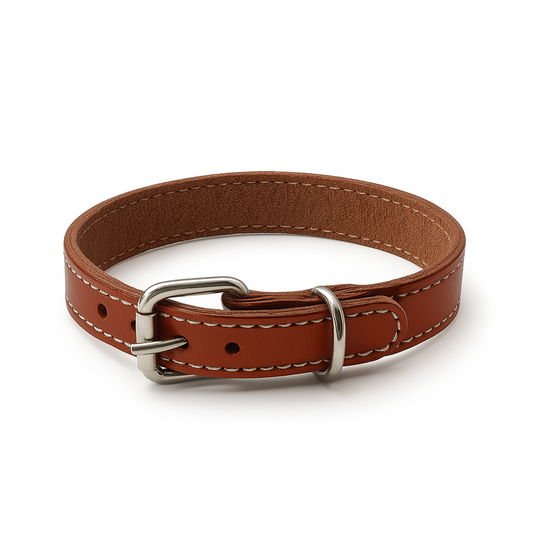 Kožený obojek Lucha Collar XXS